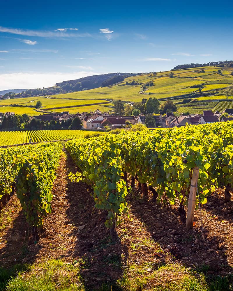 Comment acheter un mobil-home en Bourgogne-Franche-Comté ?
