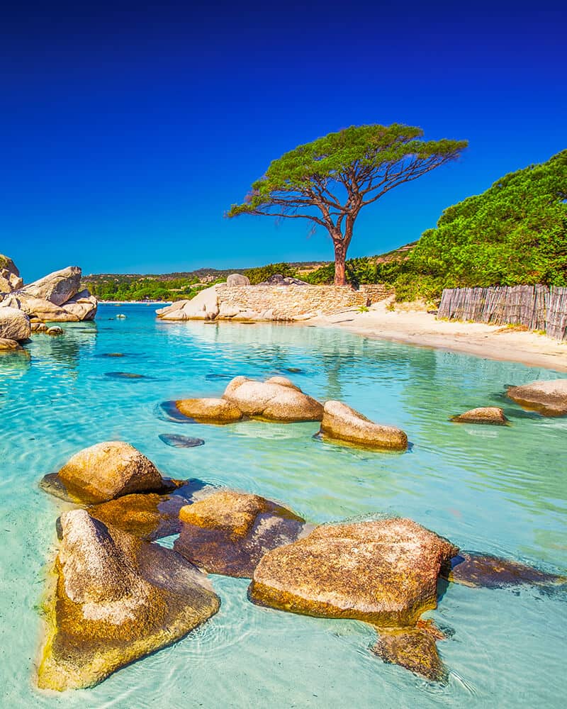 Que faire et que voir en Corse ?